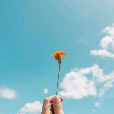 manbet下载地址截图